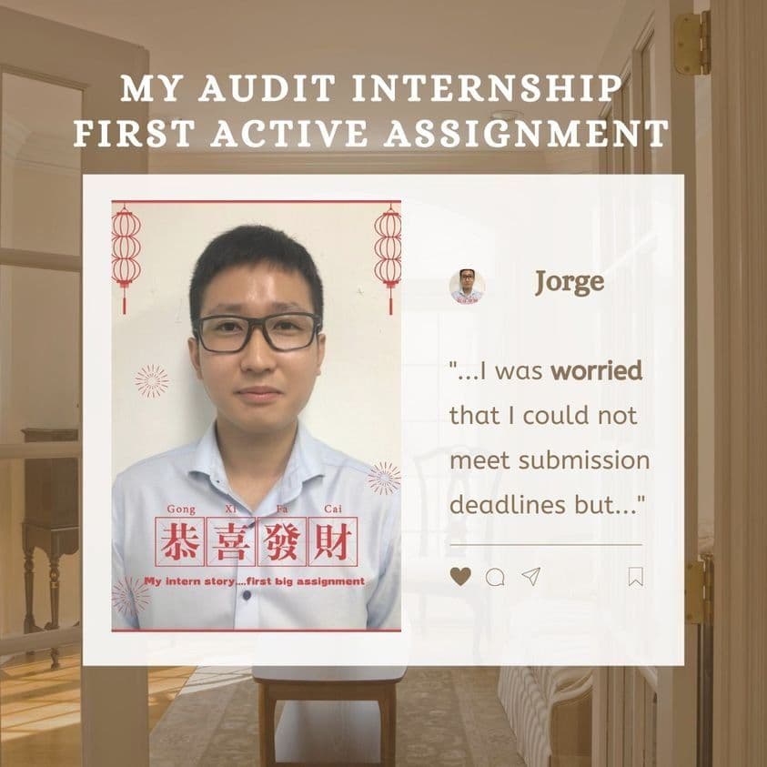 My Audit Internship Story - How Scary on My First Active Assignment !
