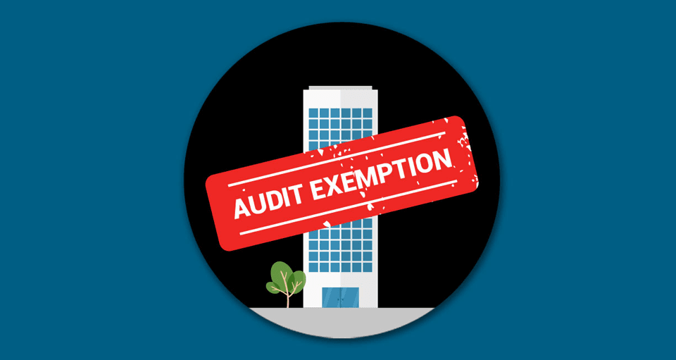 Illustration for Qualifying Criteria For Audit Exemption Part 3 of 3
