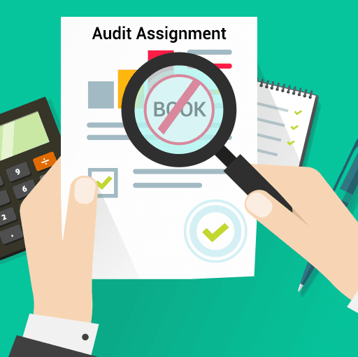 Illustration for Do not book in source document for Audit Assignment