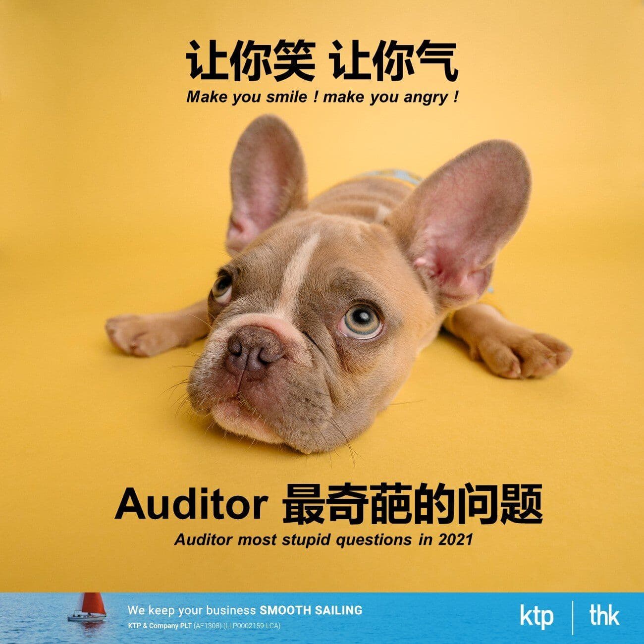 Auditor 最奇葩的问题