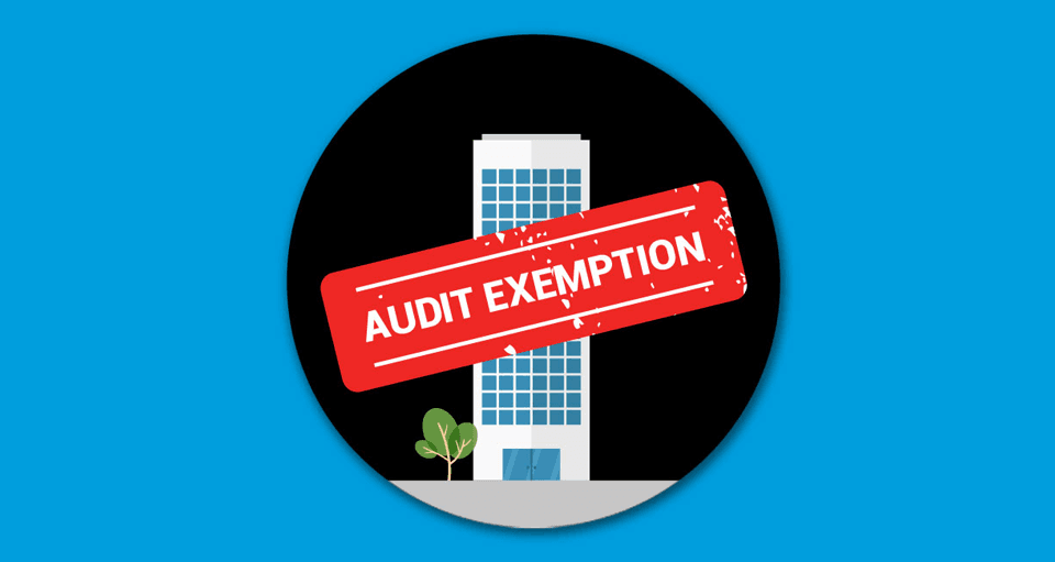 Illustration for Qualifying Criteria For Audit Exemption Part 1 of 3