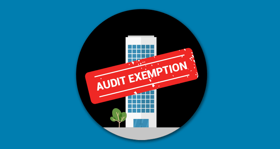 Illustration for Qualifying Criteria For Audit Exemption Part 2 of 3
